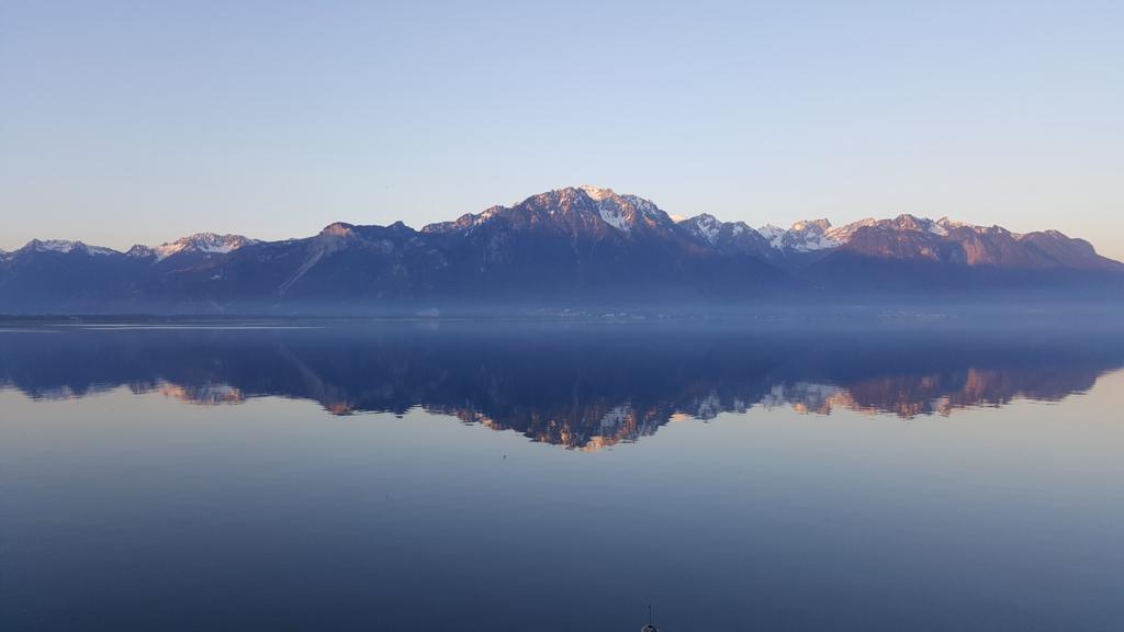 peaceful lake