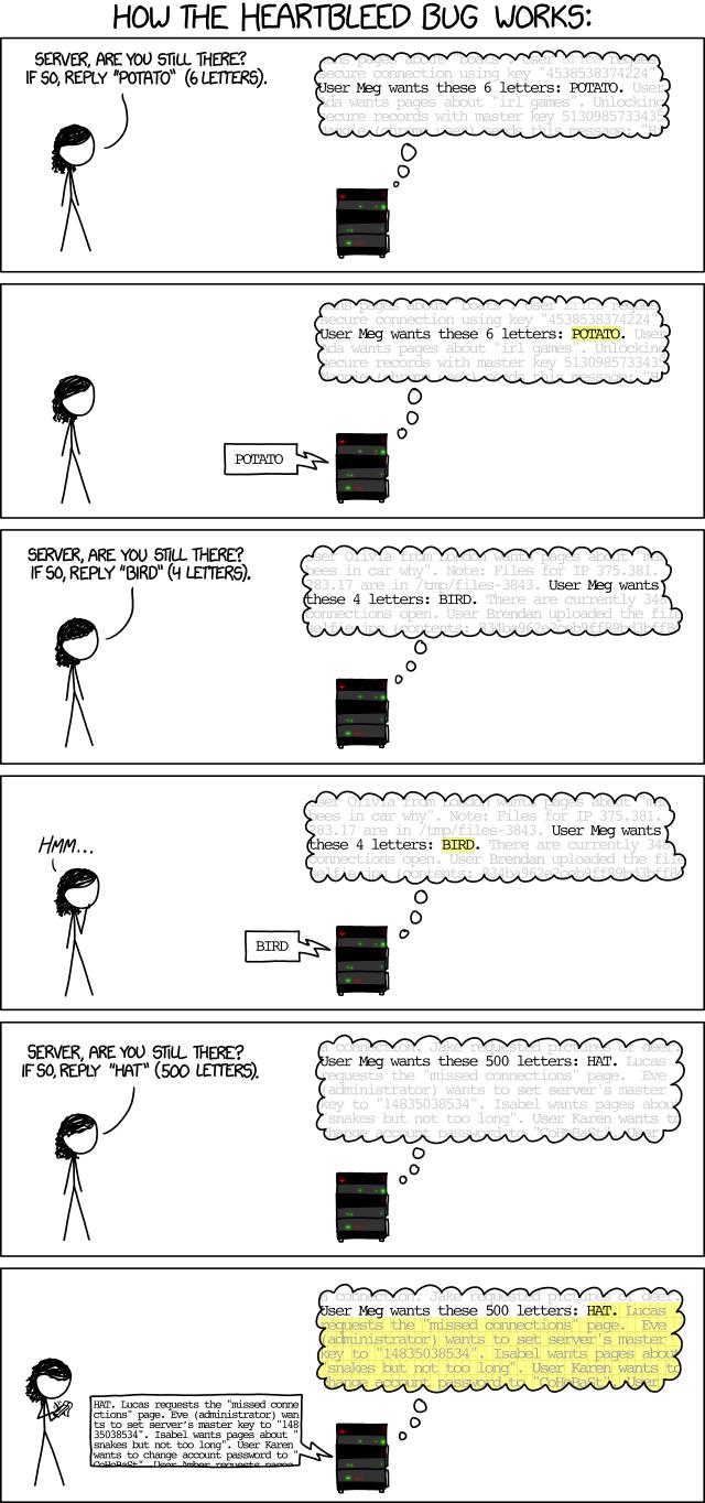 xkcd explanation of Heartbleed Exploit