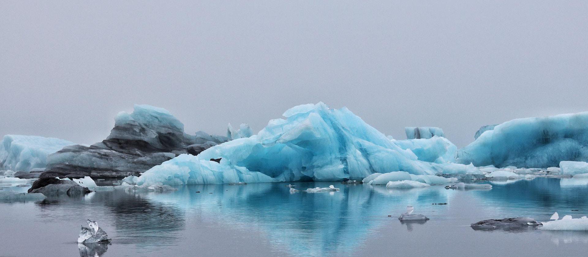 Image of icebergs on body of water.
