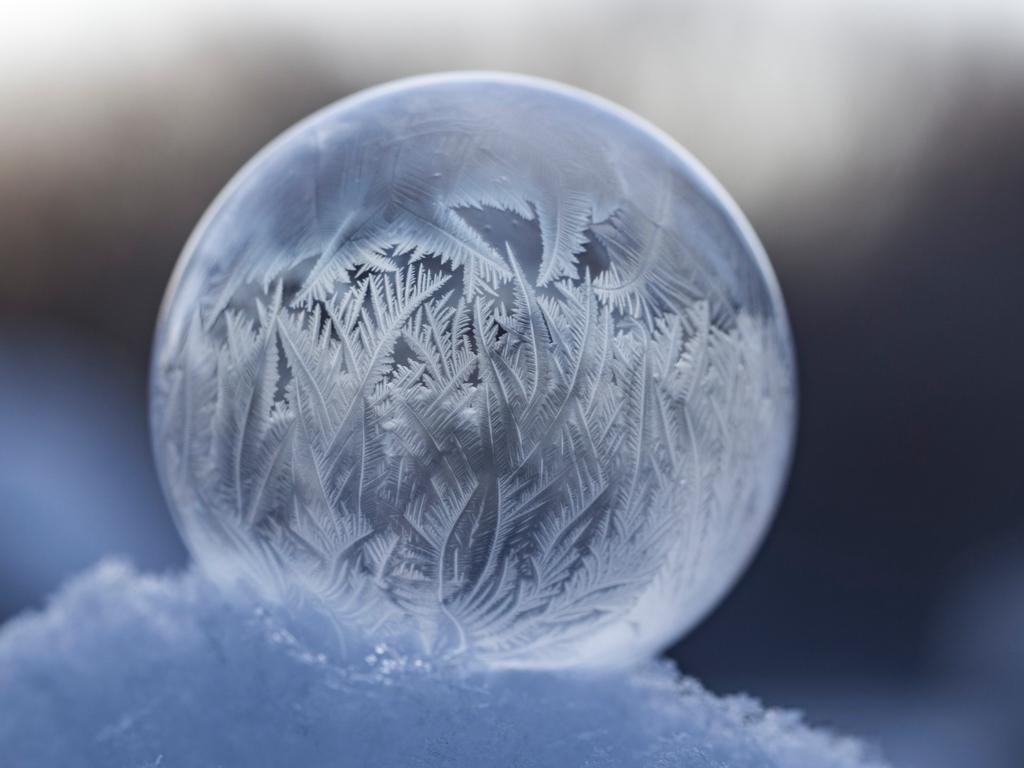 frozen globe