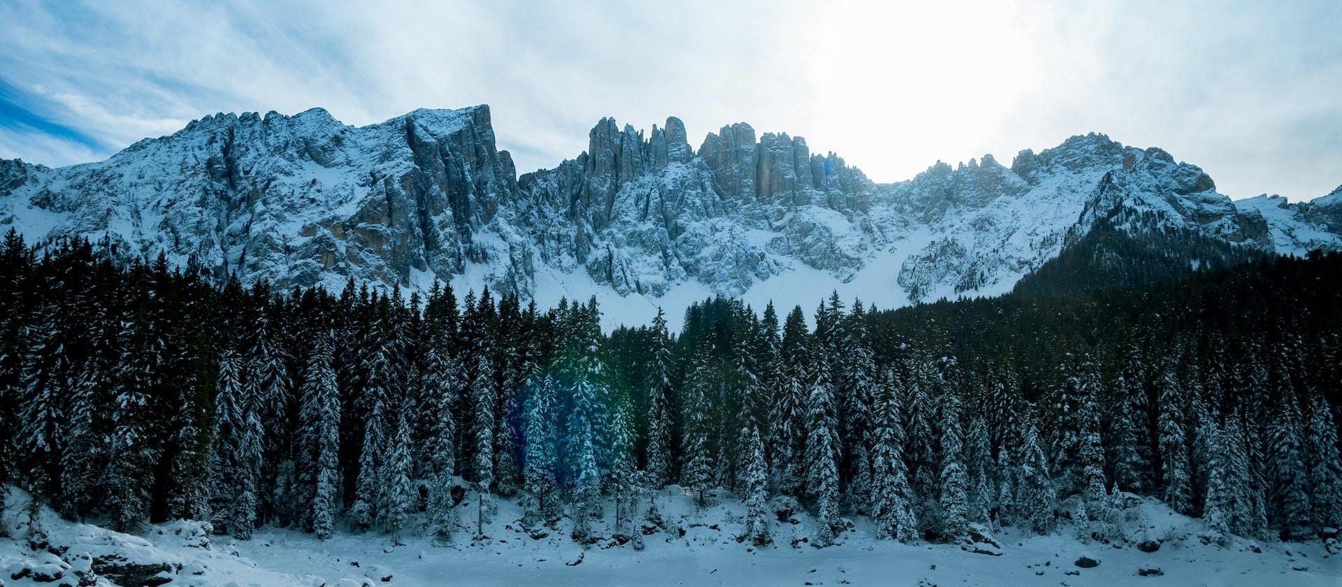 cliffs overlooking a forest