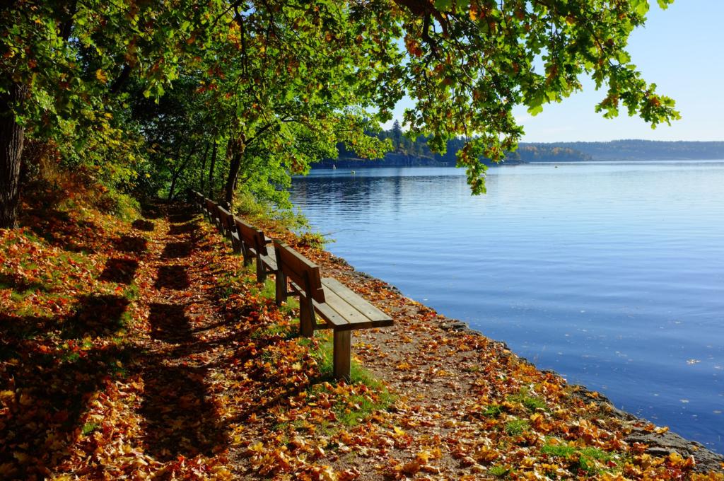 park bench overlooking the lake under autumn leaves
