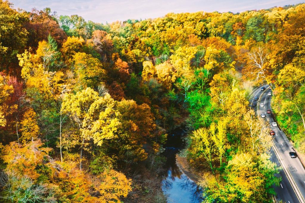 Scenic river and bridge