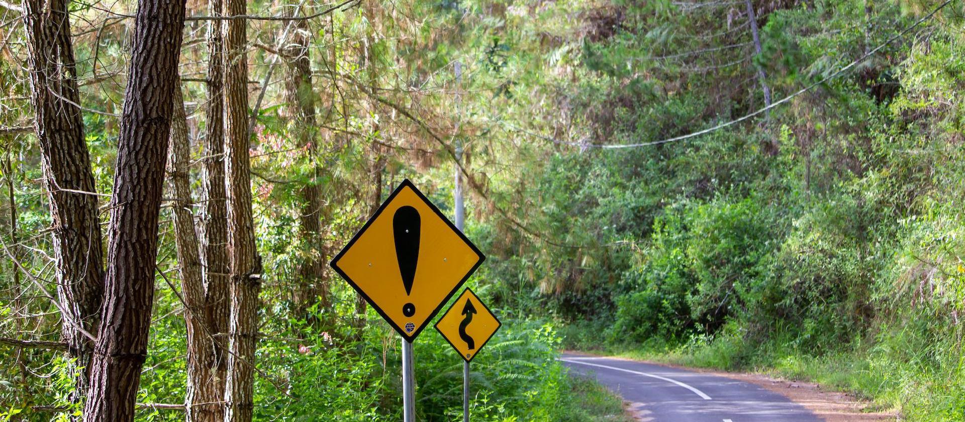 Image of yellow and black road sign.